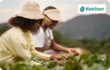 How Kickstart transformed efficiency and growth with Salesmate